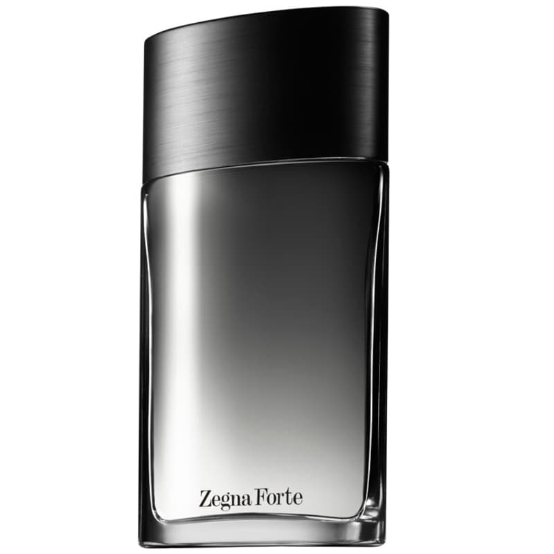Zegna Forte Ermenegildo Zegna Eau de Toilette - Perfume Masculino 100ml