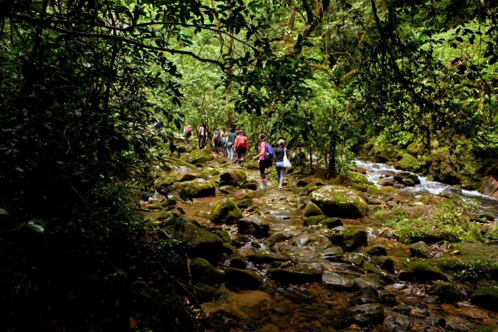 Educação Ambiental: Trilhas guaidas na Reserva de Salto Morato