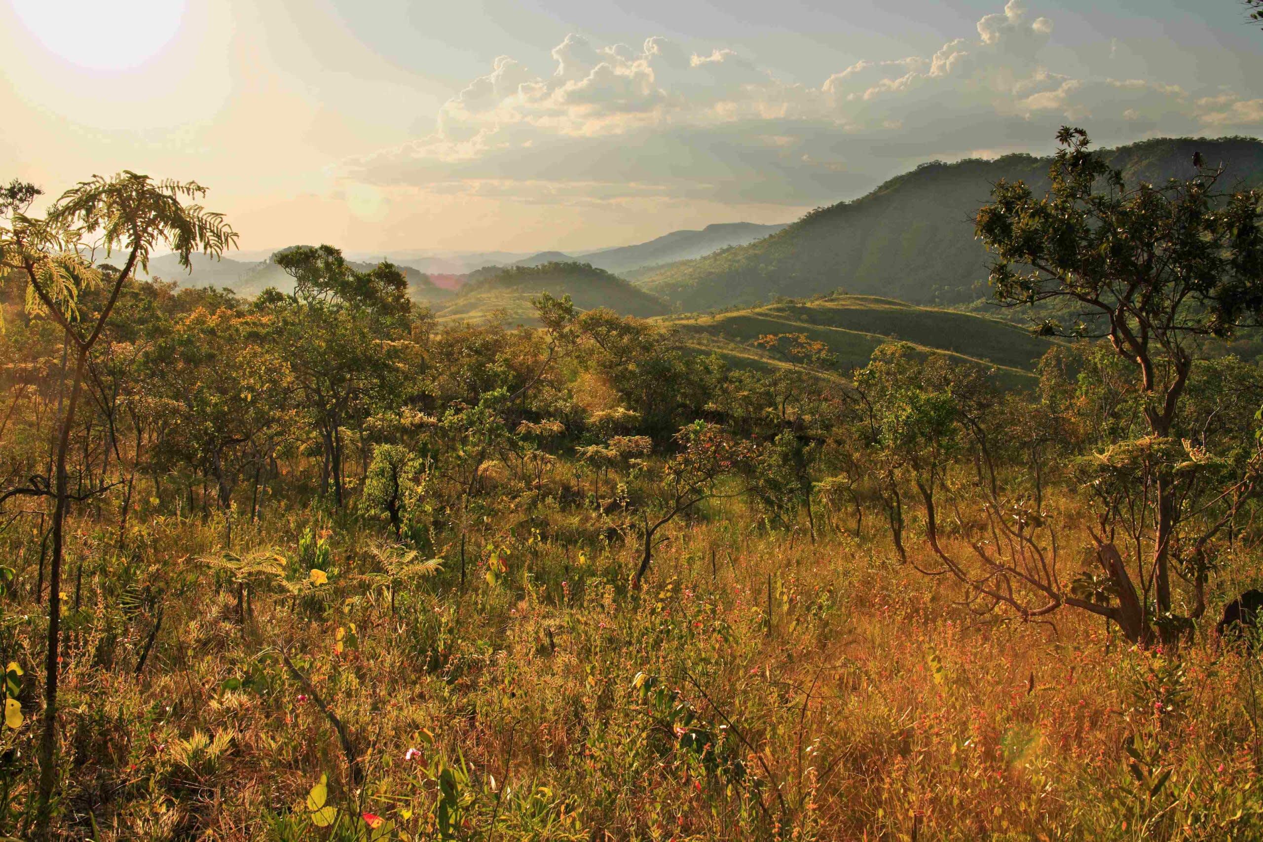 Reserva Natural: Serra do Tombador