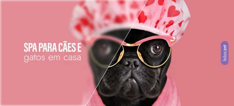 Estes itens vão simplificar o banho do pet em casa