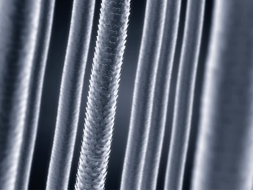 A imagem mostra a comparação entre o cabelo saudável que está com as cutículas fechadas e o cabelo poroso que está com as cutículas abertas