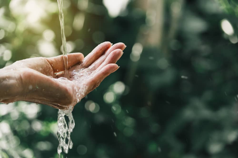 A imagem mostra uma pessoa molhando as mãos com água, ao fundo vemos árvores