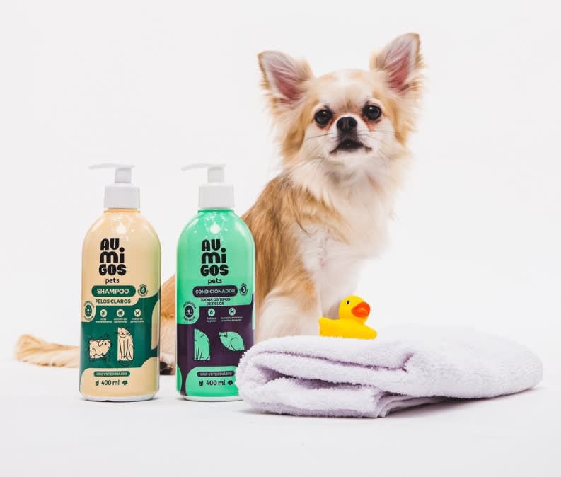 Como dar banho em cachorro: 5 passos práticos