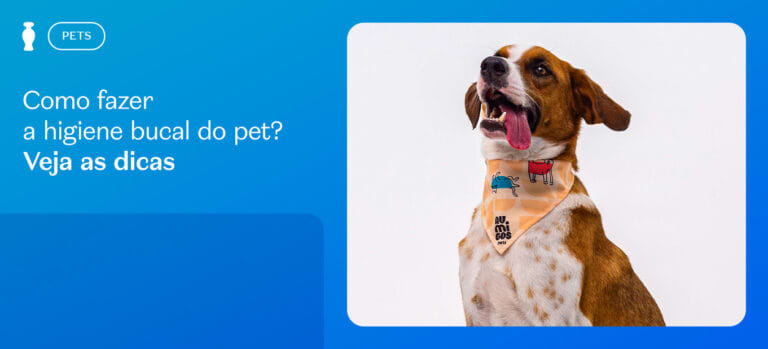 Como fazer a higiene bucal do pet? Veja as dicas