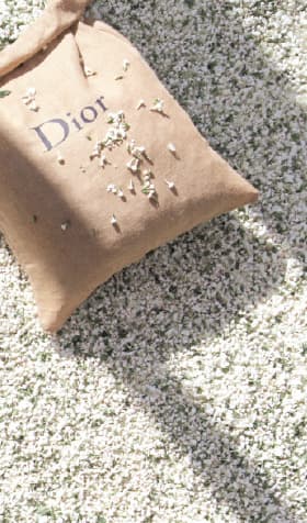 dior expert