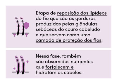 Banner com informações sobre a etapa de Nutrição do Cronograma Capilar. A máscara de nutrição é um dos produtos mais indicados para esta fase.