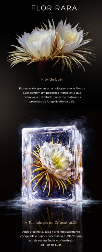 Flor Rara - Flor do Luar - Moonlight Flower