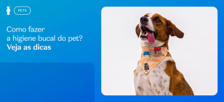 Como fazer a higiene bucal do pet? Veja as dicas