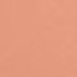 Shiseido Sheer Matifying Compact FPS 10 I60 Deep Ivory - Base Compacta Refil 9,8g