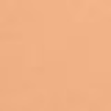 Shiseido Sheer Matifying Compact Fps 10 B80 Dark Beige - Base Compacta Refil 9,8g