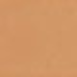 Shiseido Bronzer 1 Light - Pó Compacto