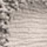 Clinique Blended Face Powder and Blush Invisible Blend - Pó Solto Natural 35g