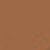 Shiseido Perfect Refining Foundation FPS 15 D10 Golden Brown - Base Líquida 30ml