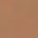 the Balm Balmshelter Medium Dark FPS 18 - Hidratante com Cor 64g