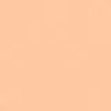 Shiseido Sun Care Sun Protection Stick Foundation FPS 36 Fair Ivory - Base em Bastão 9g