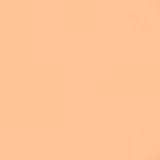 Shiseido Sun Care Sun Protection Stick Foundation FPS 36 Fair Ochre - Base em Bastão 9g
