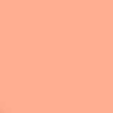 Shiseido Sun Care Sun Protection Stick Foundation FPS 36 Beige - Base em Bastão 9g