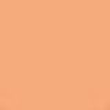 Shiseido Sun Care Sun Protection Stick Foundation FPS 36 Ochre - Base em Bastão 9g