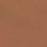 the Balm Balmshelter After Dark FPS 18 - Hidratante com Cor 64g