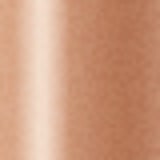 Shiseido Perfecting Stick Concealer 22 Natural Light - Corretivo em Bastão 5g