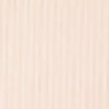 Clinique Stay Matte Sheer Pressed Powder Stay Buff - Pó Compacto Matte 7,6g