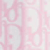 Dior Addict Couture Lipstick Pink Oblique - Case para Batom 26g