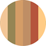 Catrice Safari Fever Slim 010 - Paleta de Sombras 10,6g