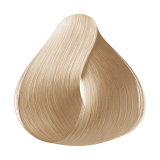 Alfaparf Milano Evolution Of The Color 11.00 Louro Platina - Coloração Permanente 60ml