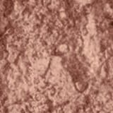 M·A·C Iridescent Powder Loose Golden Bronze - Pó solto 12g