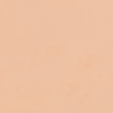 Dailus 04 Bege - Pó Compacto Natural 10g