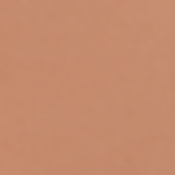 Dailus 32 Terra - Pó Compacto Natural 10g