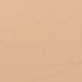 Dailus New 04 Bege Claro - Pó Compacto 7g