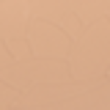 Dailus New 06 Bege Médio - Pó Compacto 7g