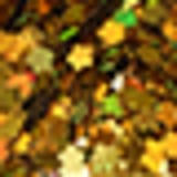 Colormake Shine Formatos Flor Ouro - Glitter 2g