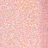 Smashbox Crystalized Gloss Angeles Practical Magic - Brilho Labial 4ml