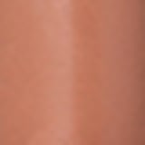 Dailus Nude 17 Fiz Porque Quis - Batom 3,5g