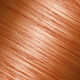 Garnier Nutrisse Creme 73 Avelã - Coloração