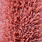 Tracta Intenso Segredo - Gloss Labial 3ml