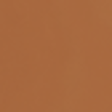 La Roche-Posay Anthelios Airlicium FPS70 Morena+ - Protetor Solar com Cor 40g