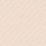 Payot Matte Mineral Translucent - Pó Compacto 10g