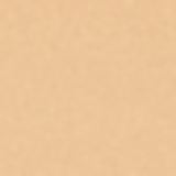 NeoStrata Minesol Oil Control FPS 70 Pele Clara - Protetor Solar com Cor 40g