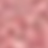 Sisley Le Phyto Blush 1 Pink Peony - Blush em Pó 6,5g