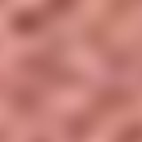 Sisley Le Phyto-Blush 4 Golden Rose - Blush 6,5g