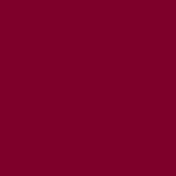 Protetor Labial Amora 3,5g