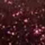 Niina Secrets Shine Flowers Rosa Negra - Lip Oil 7ml