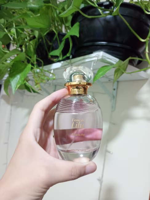 imagem da avaliação