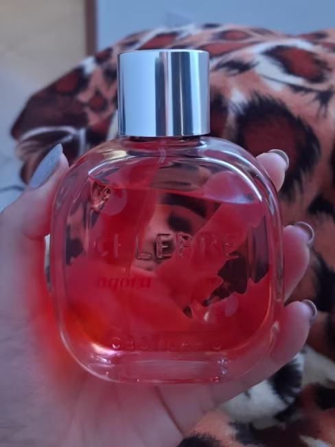 imagem da avaliação