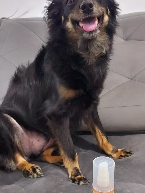 imagem da avaliação