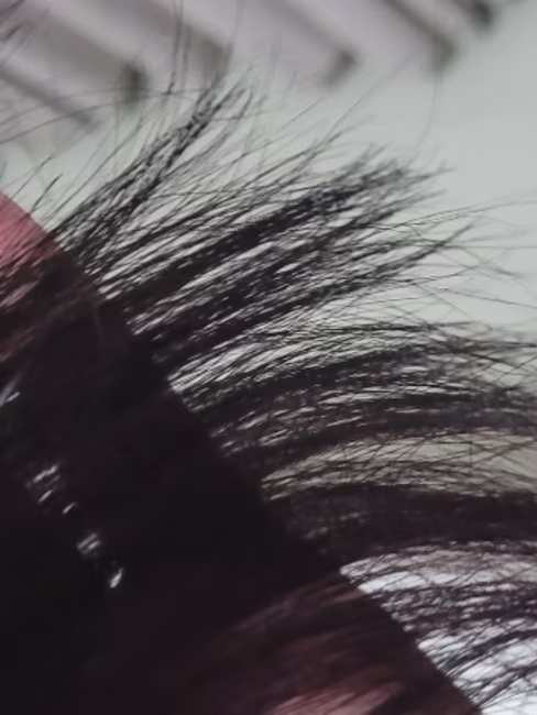 imagem da avaliação