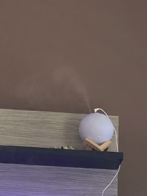 imagem da avaliação